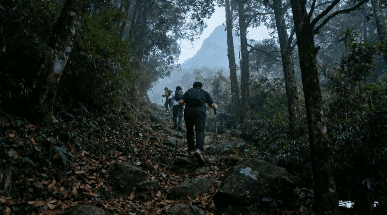 袋鼠加速器最新分享码获取途径详细解析
